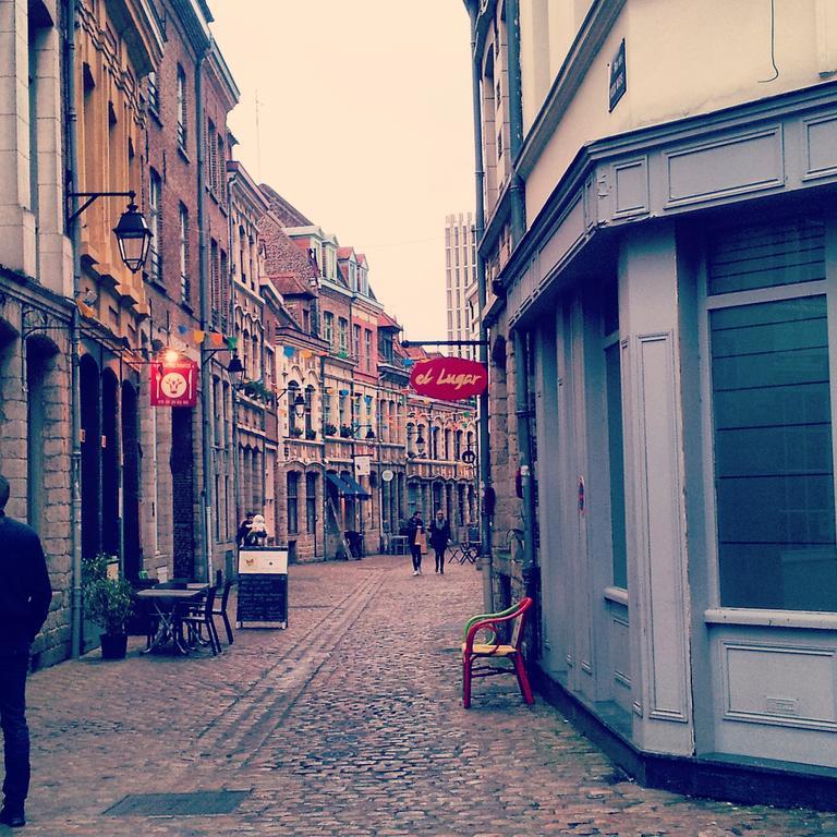 Lille Centre Ville, Beaux Arts Et Grand Palais, Bienvenue Chez Nestyou ליל מראה חיצוני תמונה