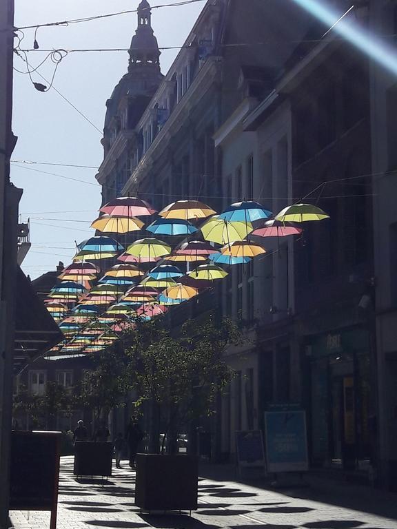 Lille Centre Ville, Beaux Arts Et Grand Palais, Bienvenue Chez Nestyou ליל מראה חיצוני תמונה