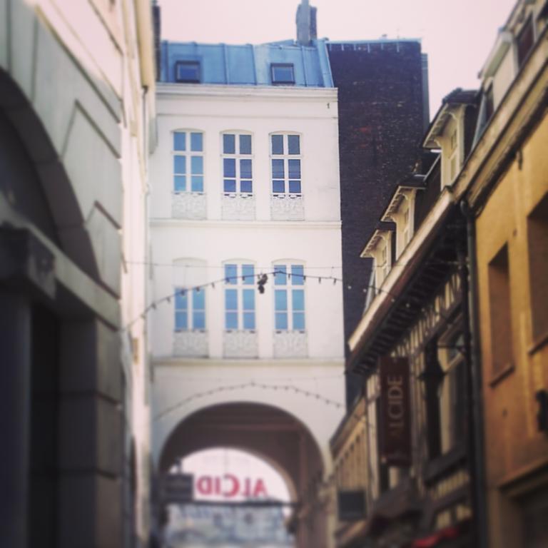Lille Centre Ville, Beaux Arts Et Grand Palais, Bienvenue Chez Nestyou ליל מראה חיצוני תמונה