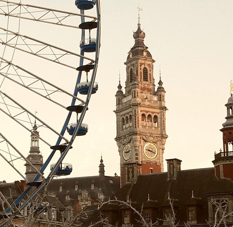 Lille Centre Ville, Beaux Arts Et Grand Palais, Bienvenue Chez Nestyou ליל מראה חיצוני תמונה